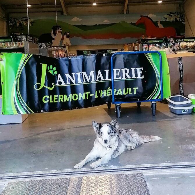 L’Animalerie Clermont l’Hérault